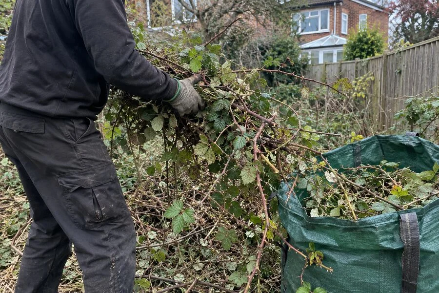 Brambles and branches being pulled into a garden waste bag